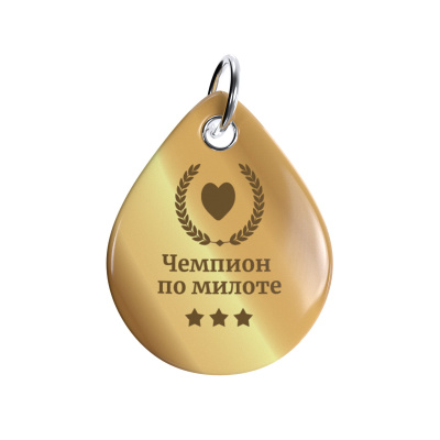 Адресник ISBC "Чемпион по милоте", размер M, арт. 006-56974
