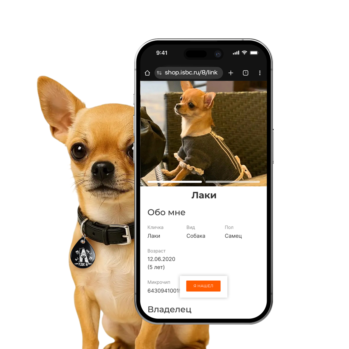 Адресник ISBC "Где собака?", размер M, арт. 006-59471