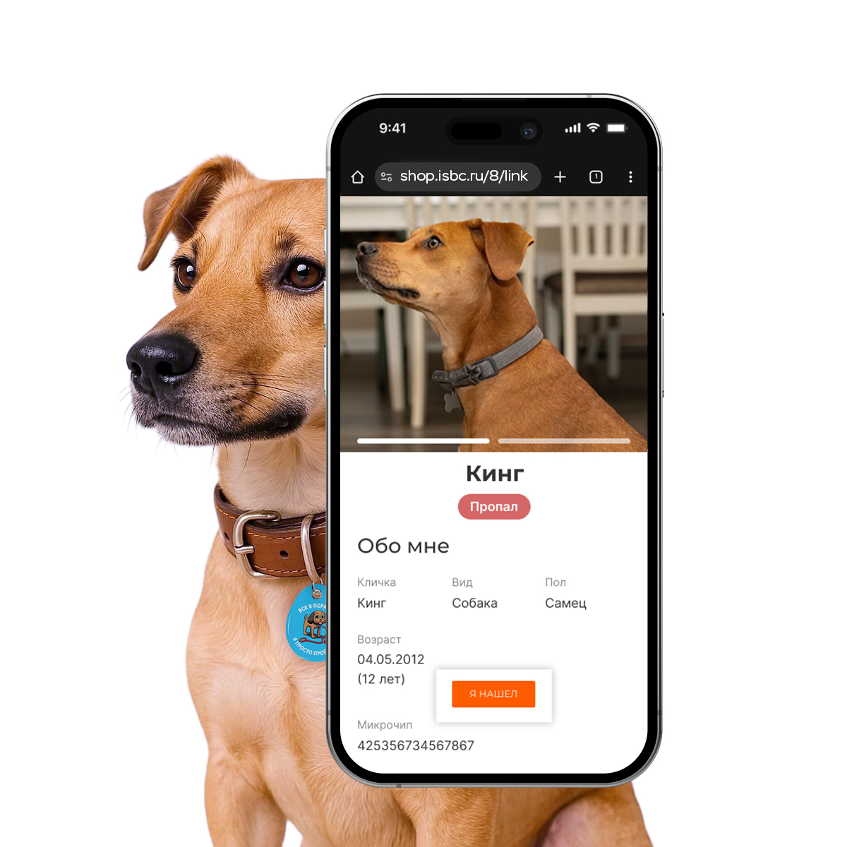 Адресник ISBC "Я просто про@бался", размер L, арт. 006-59529
