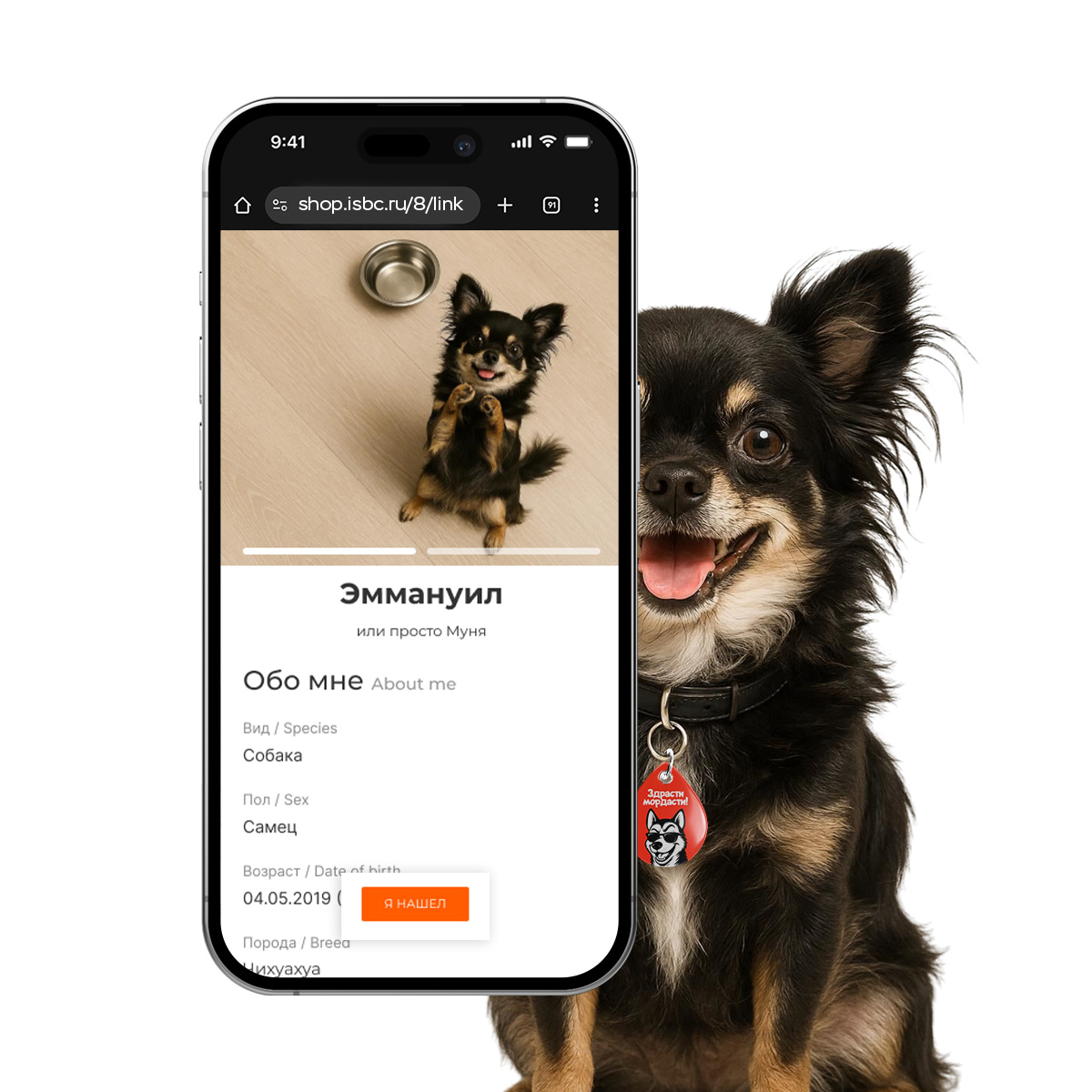 Адресник ISBC "Здрасти мордасти", размер М, арт. 006-62562