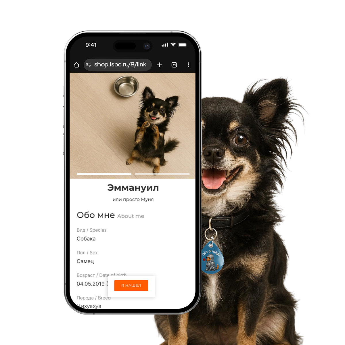 Адресник ISBC "Рыцарь", размер М, арт. 006-62558