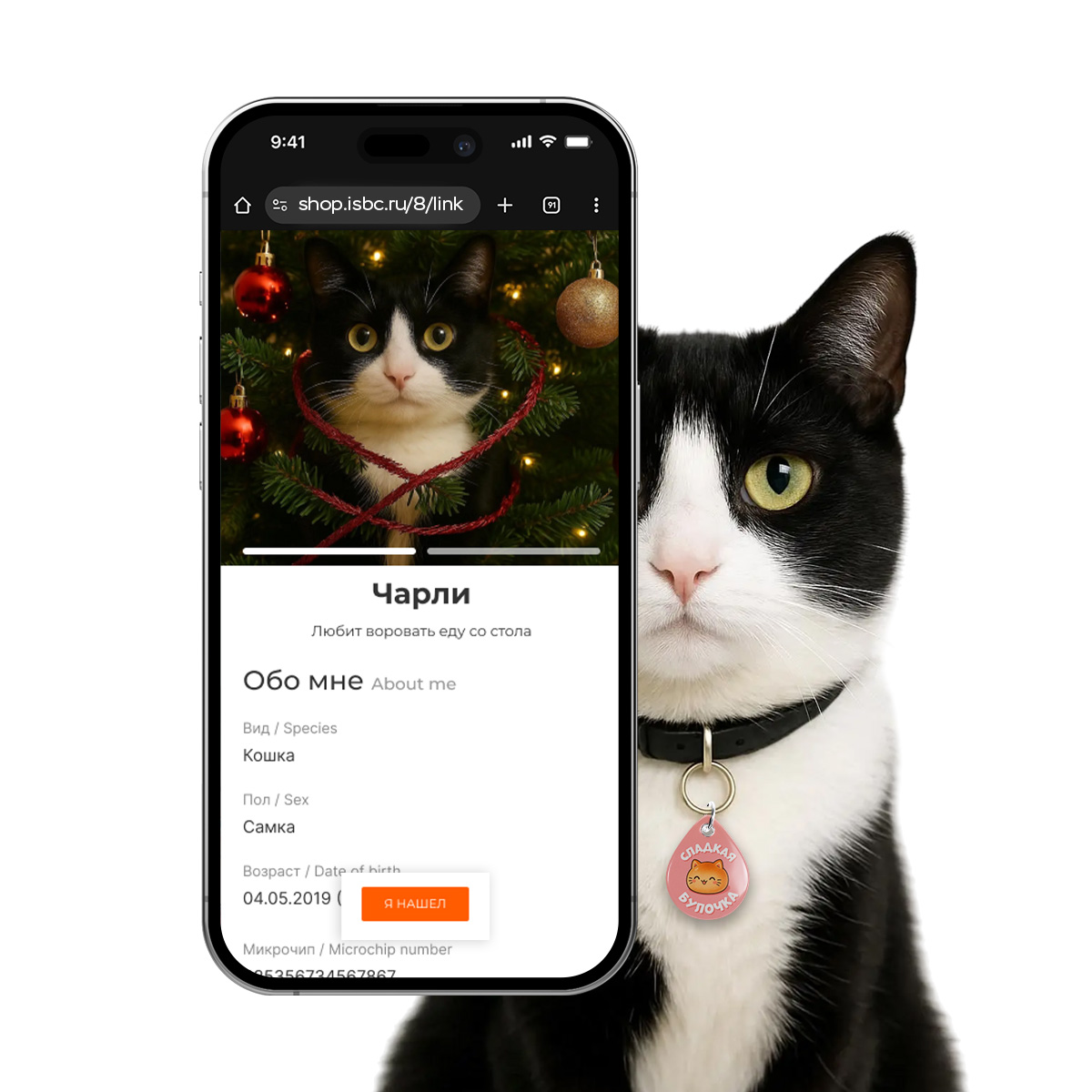 Адресник ISBC "Сладкий котик", размер М, арт. 006-62516