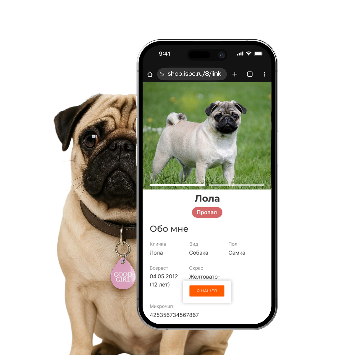 Адресник ISBC "Good girl", размер M, арт. 006-56900