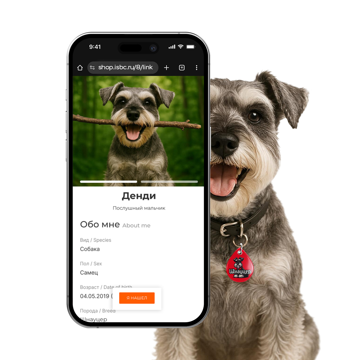 Адресник ISBC "Шнауцер", размер М, арт. 006-62524