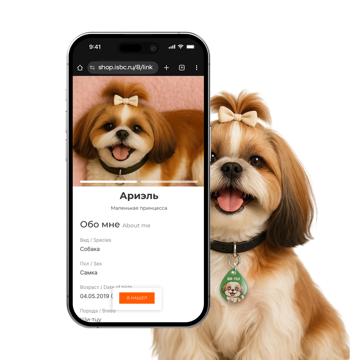 Адресник ISBC "Ши-Тцу", размер М, арт. 006-62556