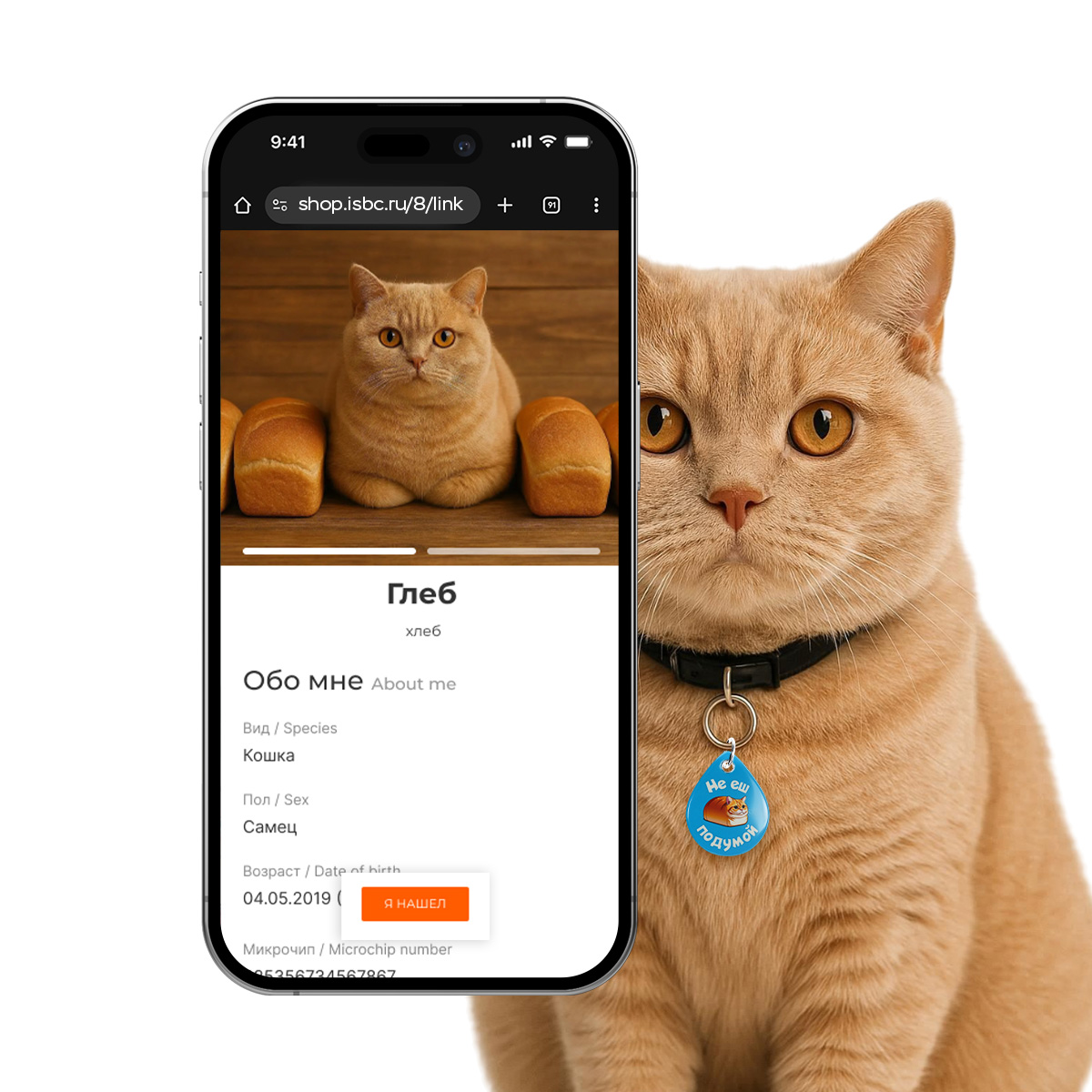 Адресник ISBC "Кот-батон", размер М, арт. 006-62520