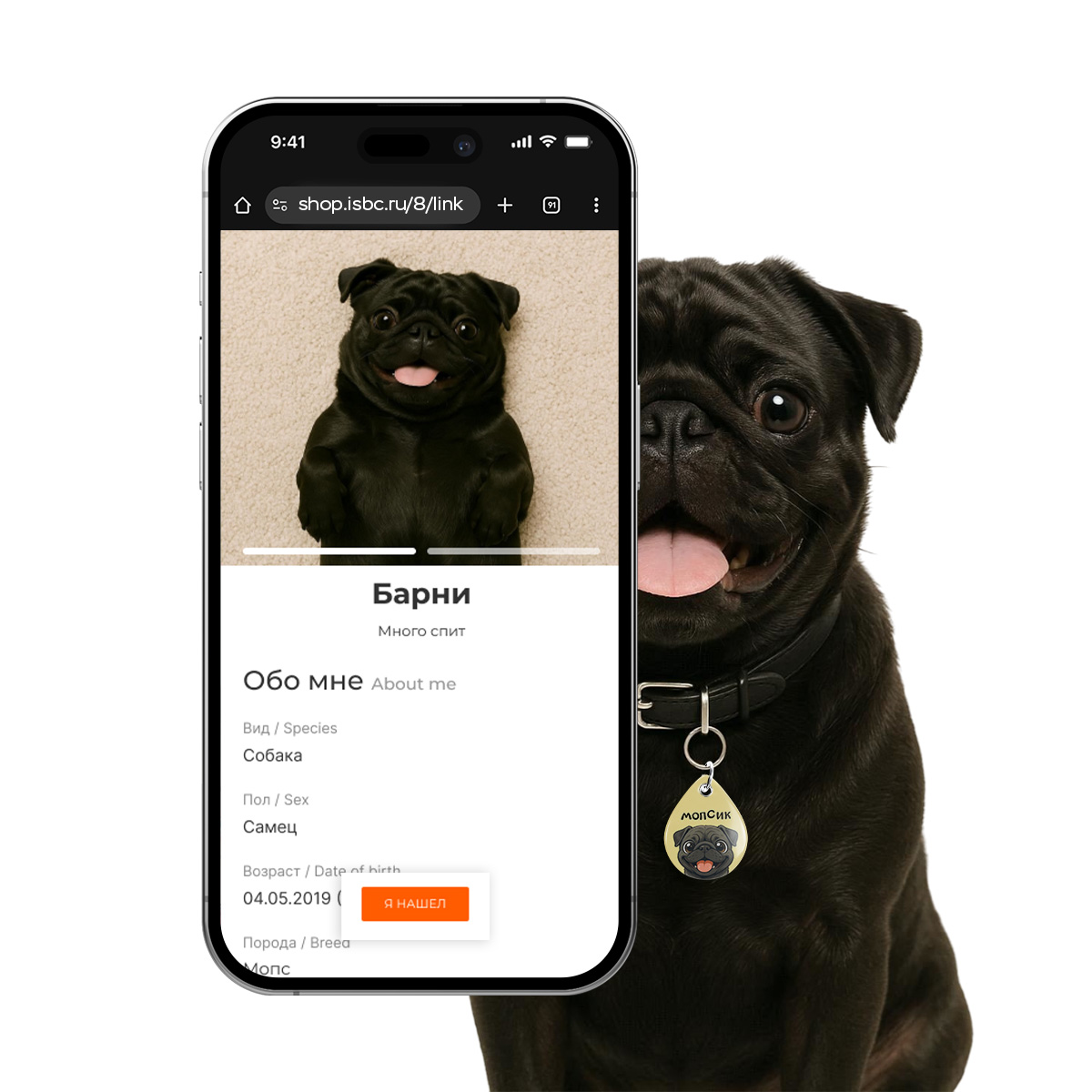 Адресник ISBC "Черный мопс", размер М, арт. 006-62554