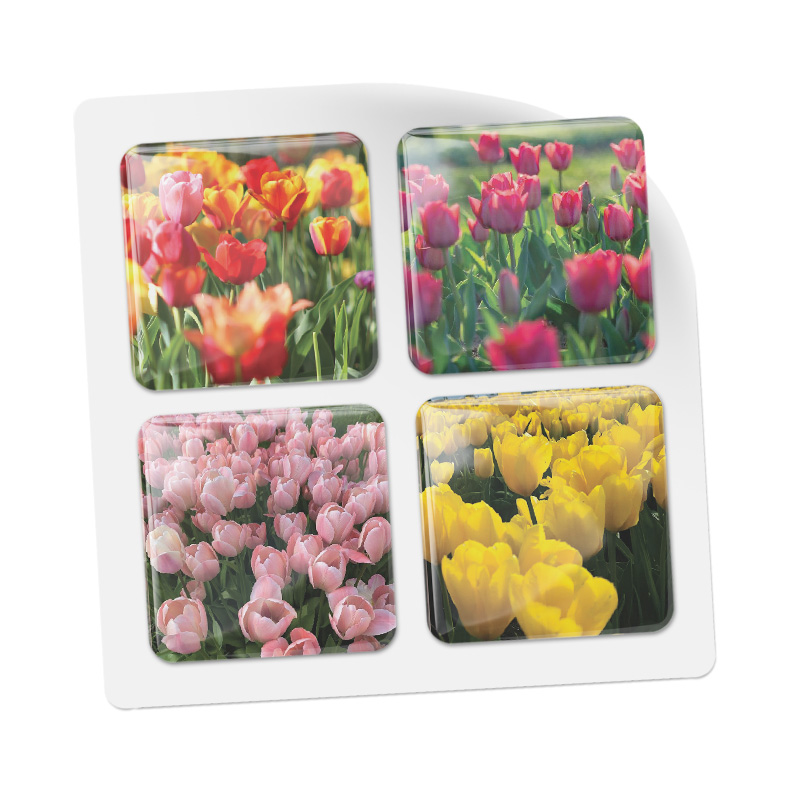 3D стикеры ISBC для девушек Тюльпаны