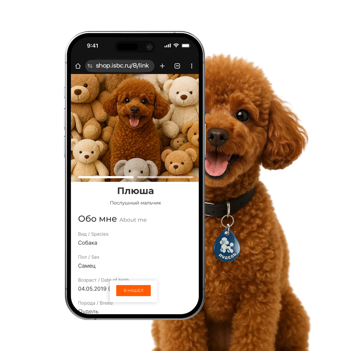 Адресник ISBC "Пудель", размер М, арт. 006-62538