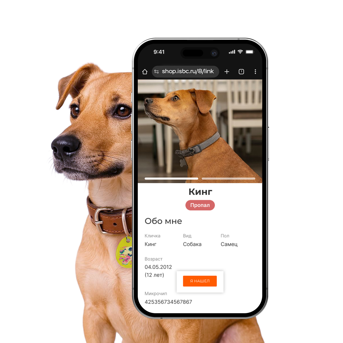 Адресник ISBC "Кисляк", размер L, арт. 006-57008