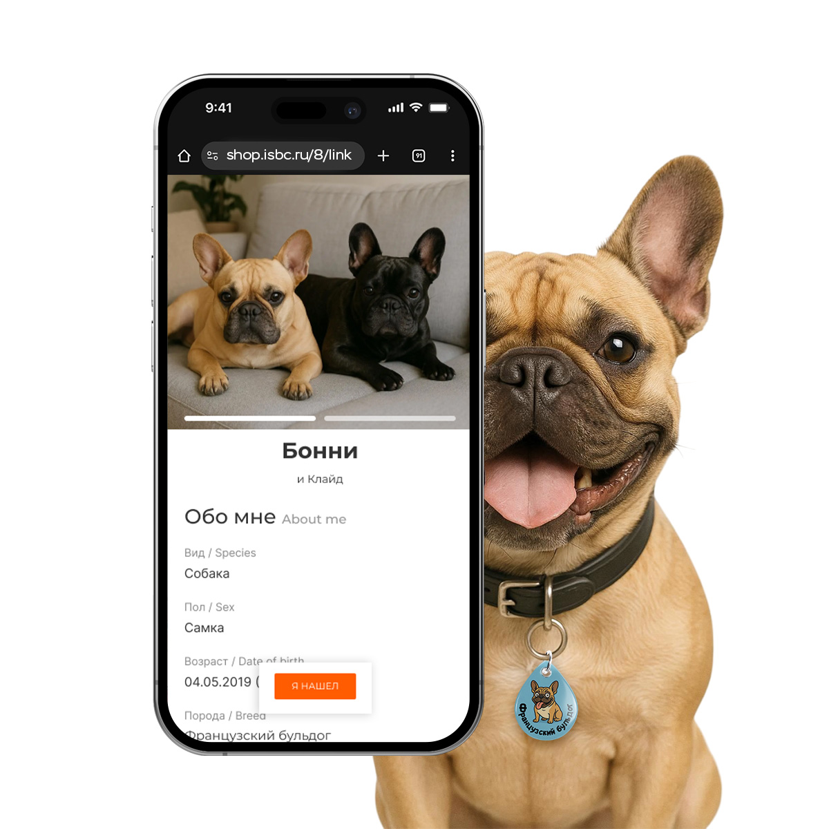 Адресник ISBC "Французский бульдог", размер М, арт. 006-62550