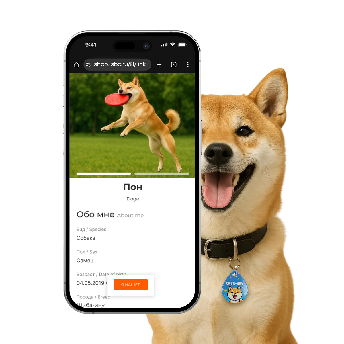 Адресник ISBC "Сиба-ину", размер М, арт. 006-62532