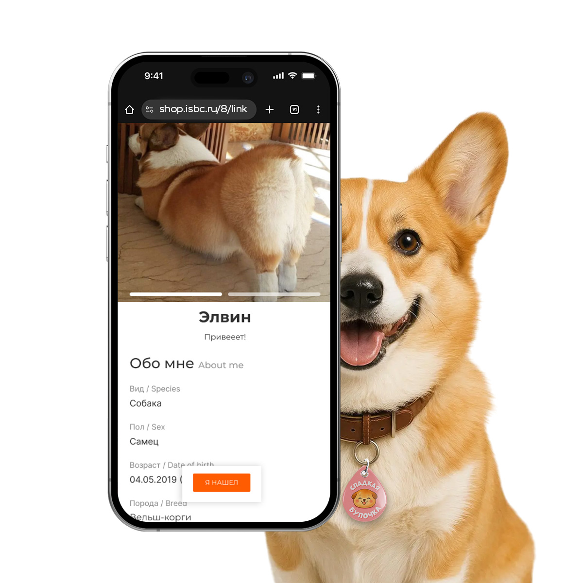 Адресник ISBC "Сладкая булочка", размер М, арт. 006-62514