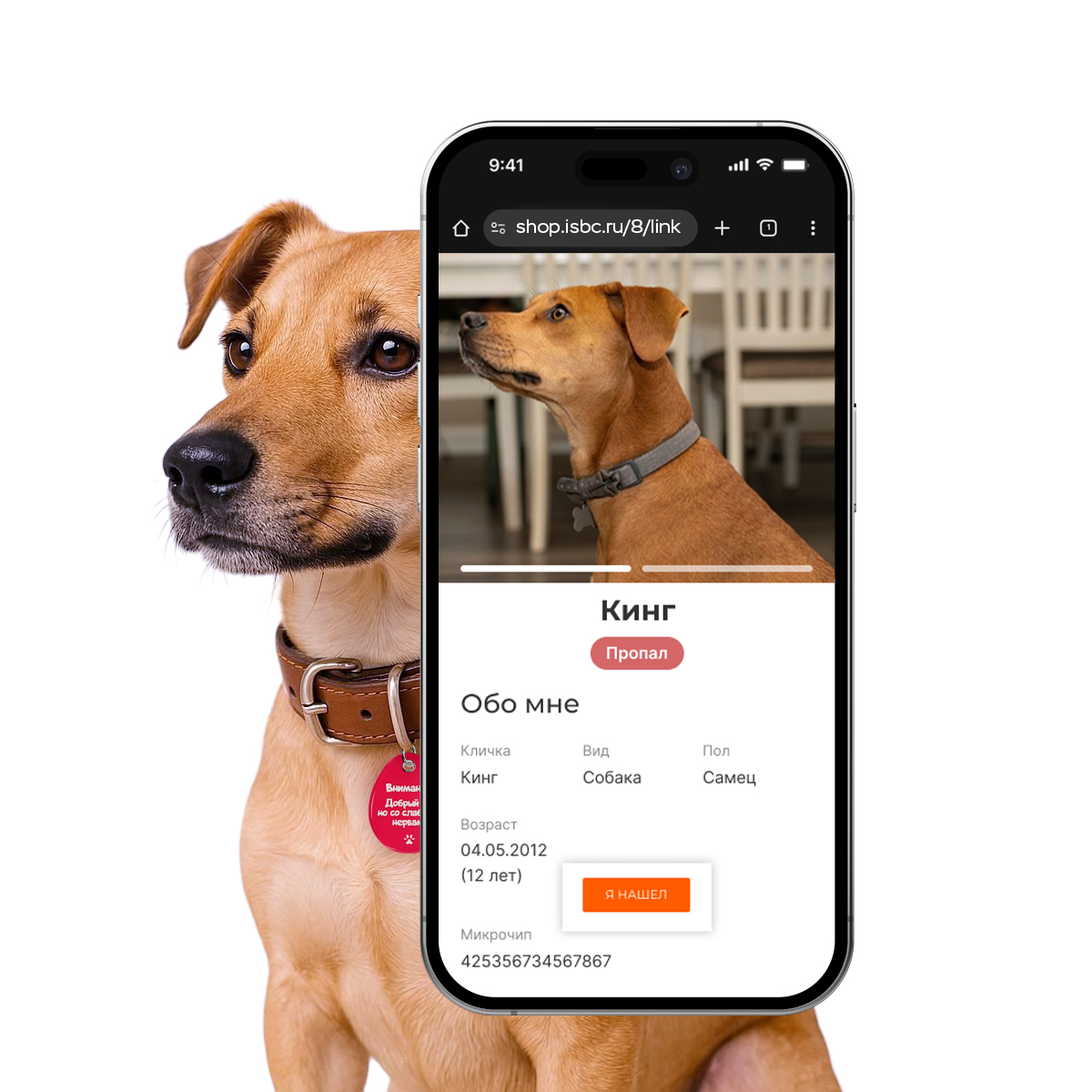 Адресник ISBC "Добрый пес, но со слабыми нервами, красный", размер L, арт. 006-56998