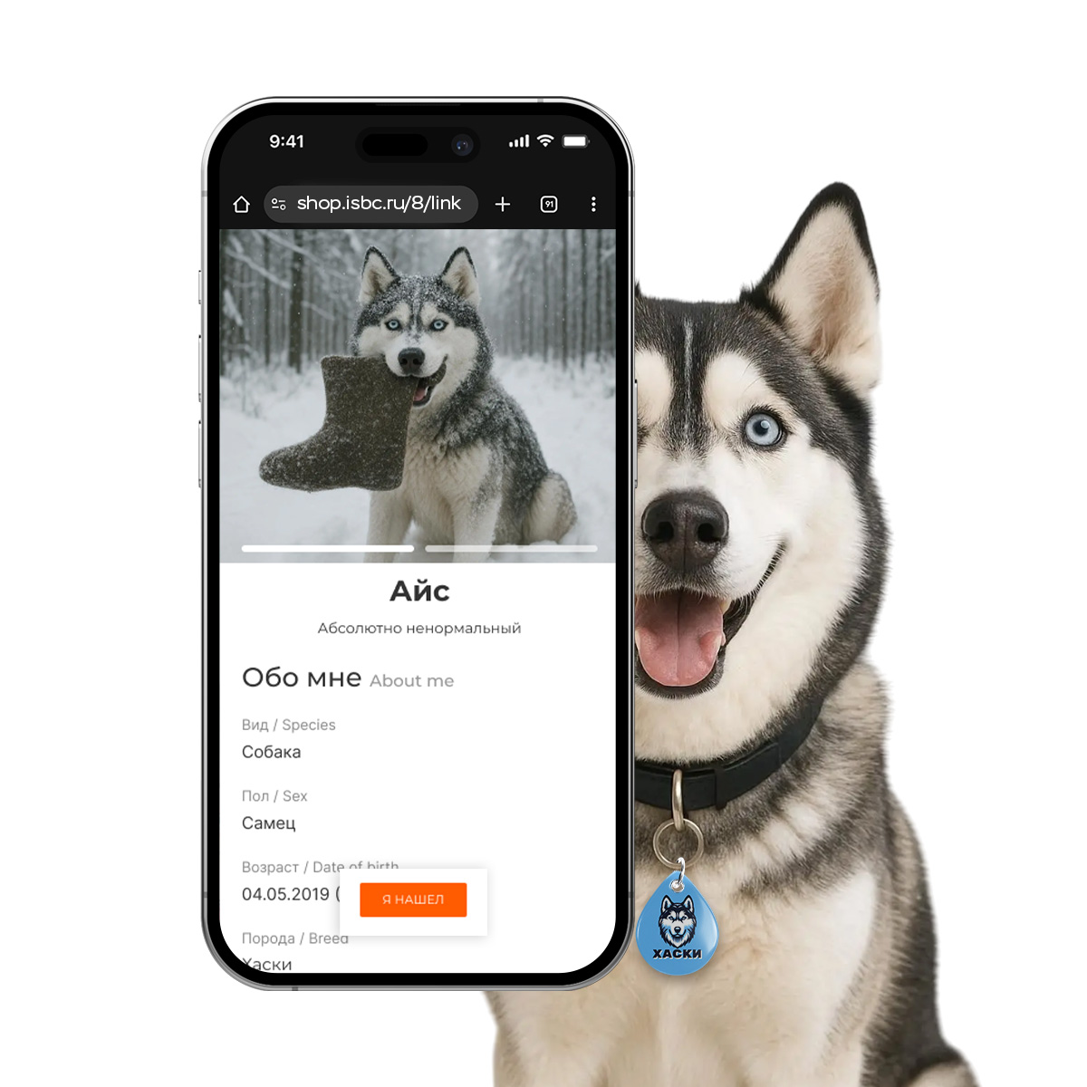 Адресник ISBC "Хаски", размер М, арт. 006-62534