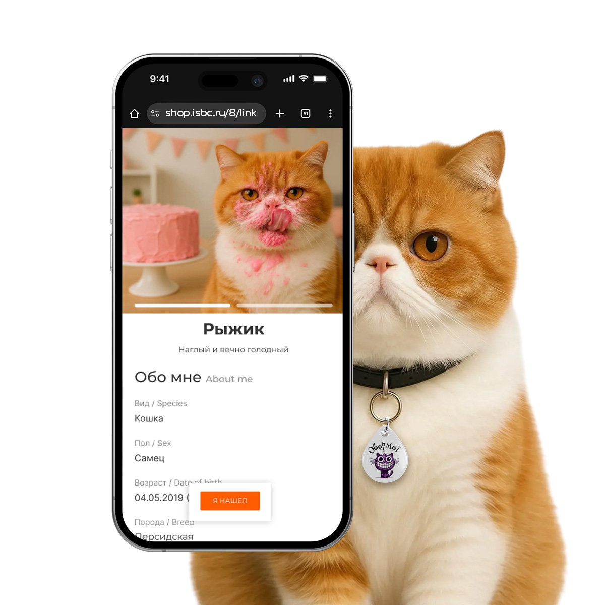 Адресник ISBC "Кот обормот", размер М, арт. 006-62526