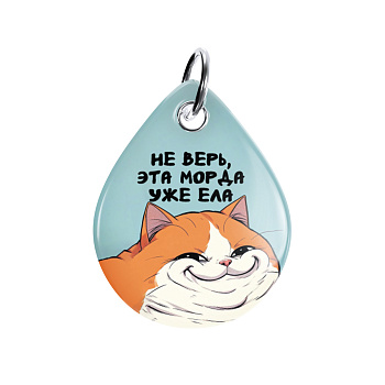 Адресник ISBC "Наглая рыжая морда", размер M, арт. 006-59481