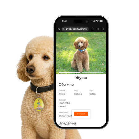 Адресник ISBC "Пудель", размер L, арт. 006-57028