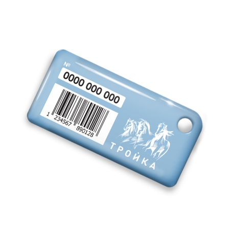 Брелок ISBC с функционалом карты "Тройка" "Городские джунгли; Диффенбахия" арт. 121-21239