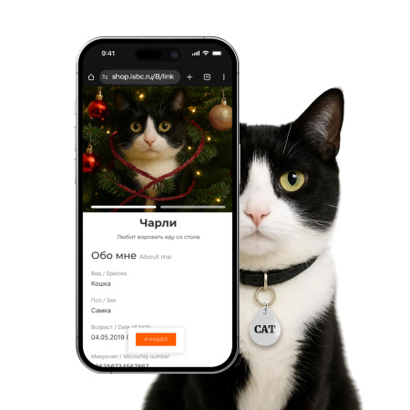 Адресник ISBC "CAT", размер М, арт. 006-62544