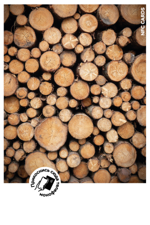 Интерактивная открытка NFC CARDS "Mood; Logs", арт. 121-24513