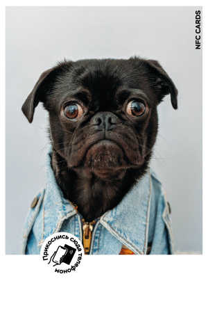 Интерактивная открытка NFC CARDS "Mood; Dog", арт. 121-24517