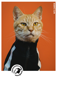 Интерактивная открытка NFC CARDS "Mood; Cat", арт. 121-24512