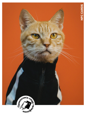Интерактивная открытка NFC CARDS "Mood; Cat", арт. 121-24512