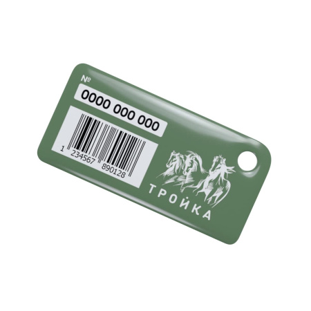 Брелок ISBC Тройка капибара плывущая под водой