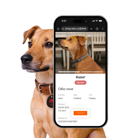 Адресник ISBC "Волчара", размер L, арт. 006-56994 Адресник ISBC "Волчара", размер L, арт. 006-56994