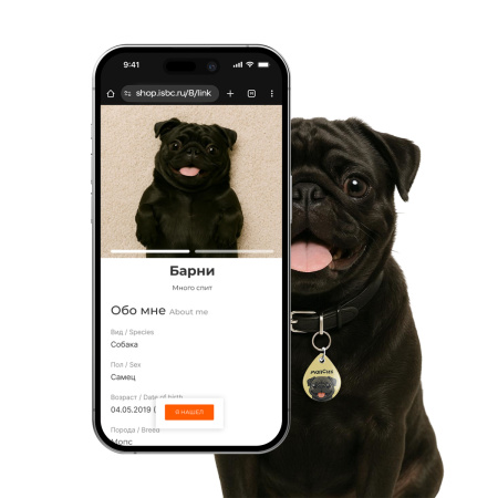 Адресник ISBC "Черный мопс", размер М, арт. 006-62554