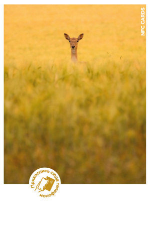 Интерактивная открытка NFC CARDS "Mood; Roe deer hid", арт. 121-24518