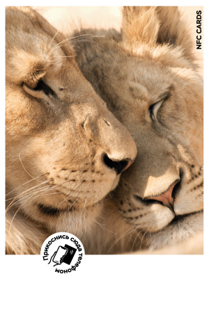 Интерактивная открытка NFC CARDS "Mood; Lions", арт. 121-24516