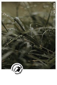 Интерактивная открытка NFC CARDS "Mood; Dew", арт. 121-24519