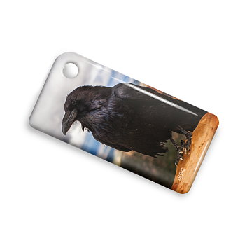 Брелок ISBC "ЕТК Архангельск" "Животные; Ворон", арт. 121-29182