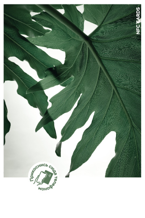 Интерактивная открытка NFC CARDS "Mood; Tropical leaves", арт. 121-24523