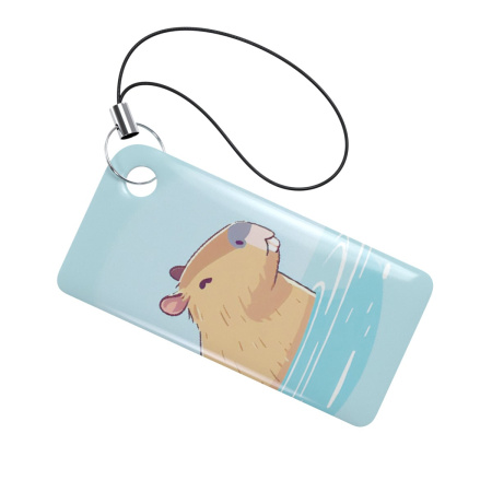 Брелок ISBC Тройка капибара в воде стиль Азия