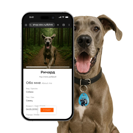 Адресник ISBC "Дог", размер L, арт. 006-62492