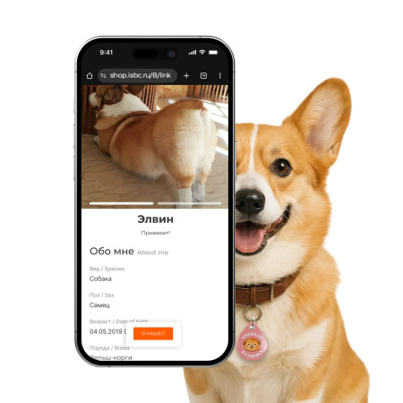 Адресник ISBC "Сладкая булочка", размер М, арт. 006-62514