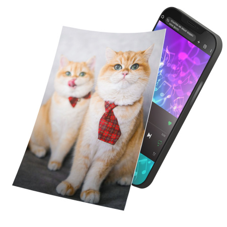 Интерактивная открытка с NFC "Котики в клеточку: бизнес по-британски", ISBC, арт. 121-61515