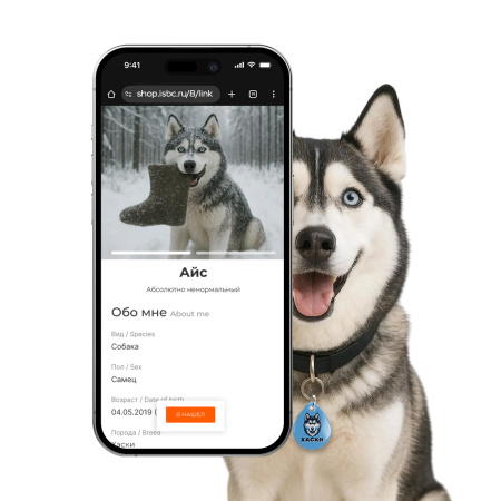 Адресник ISBC "Хаски", размер М, арт. 006-62534