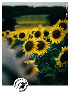 Интерактивная открытка NFC CARDS "Mood; Sunflowers", арт. 121-24529