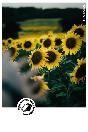 Интерактивная открытка NFC CARDS "Mood; Sunflowers", арт. 121-24529