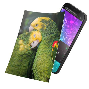 Интерактивная открытка с NFC "Неразлучники", ISBC, арт. 121-61513